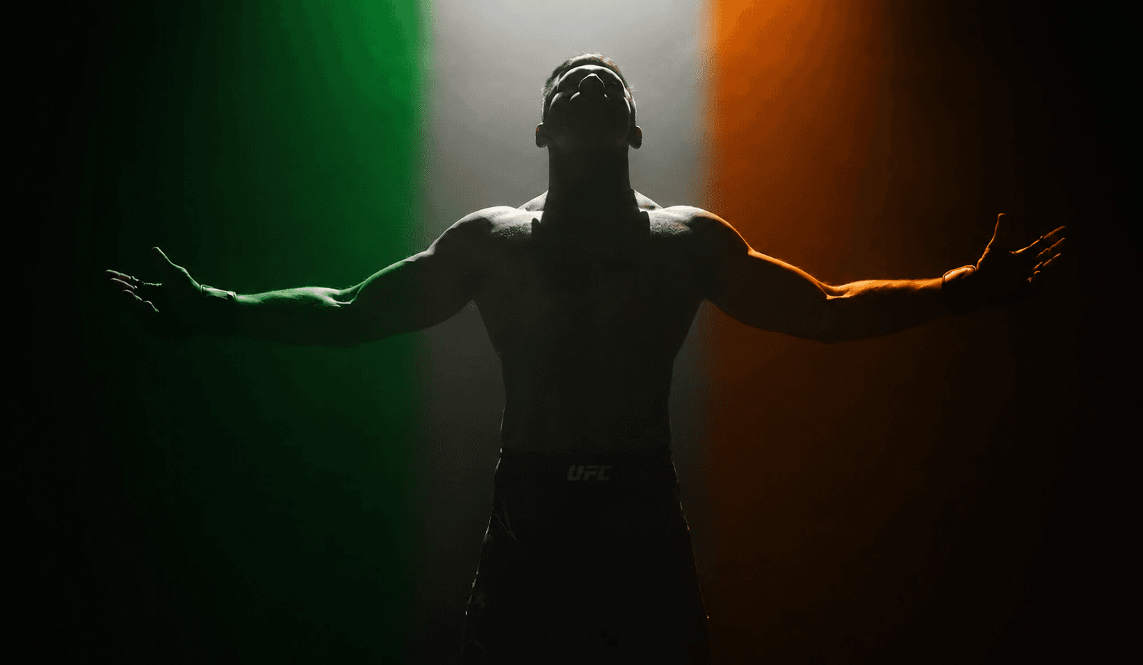 Conor iluminado con Irlanda
