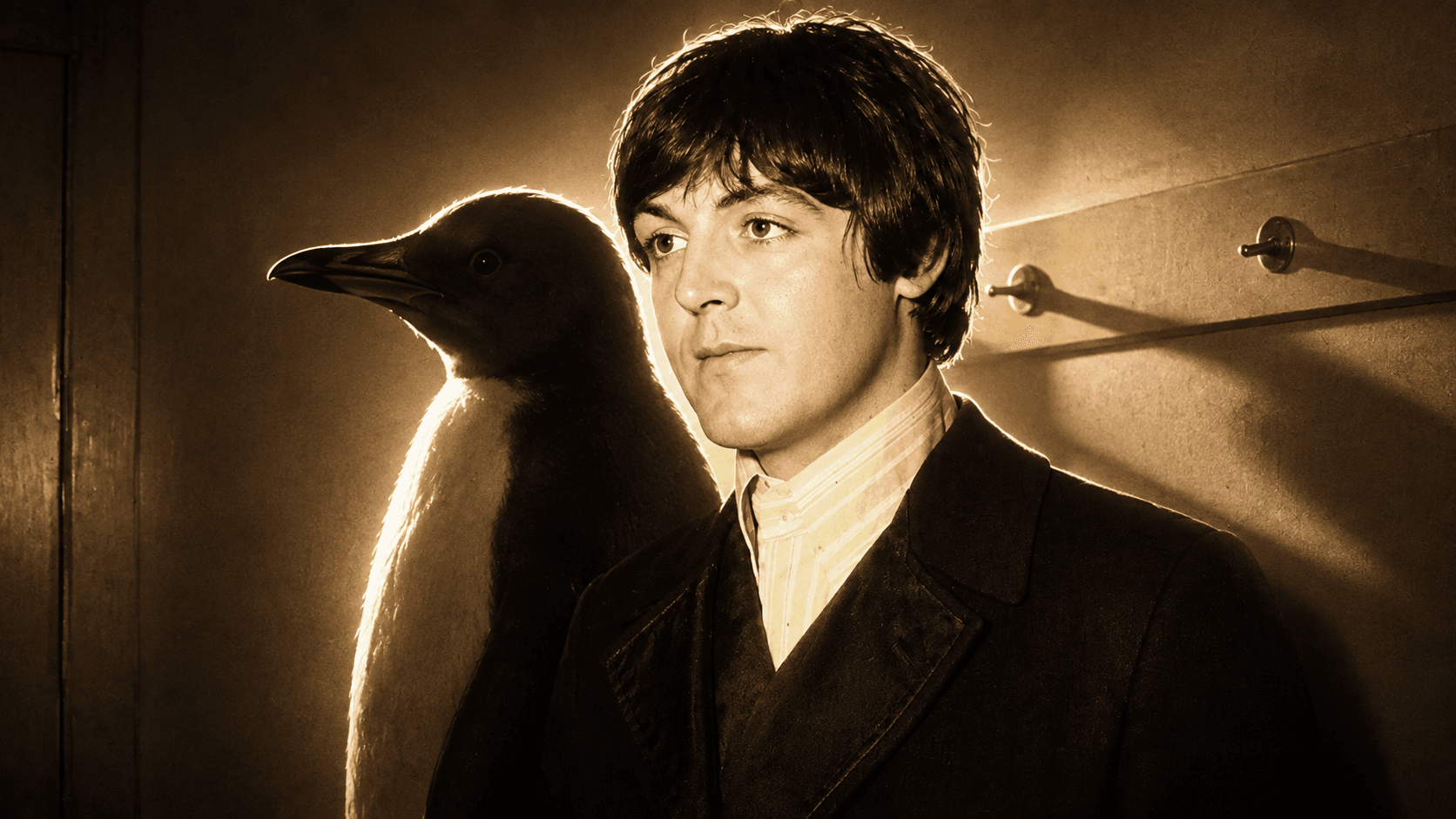 Paul McCartney a sombra de un pingüino